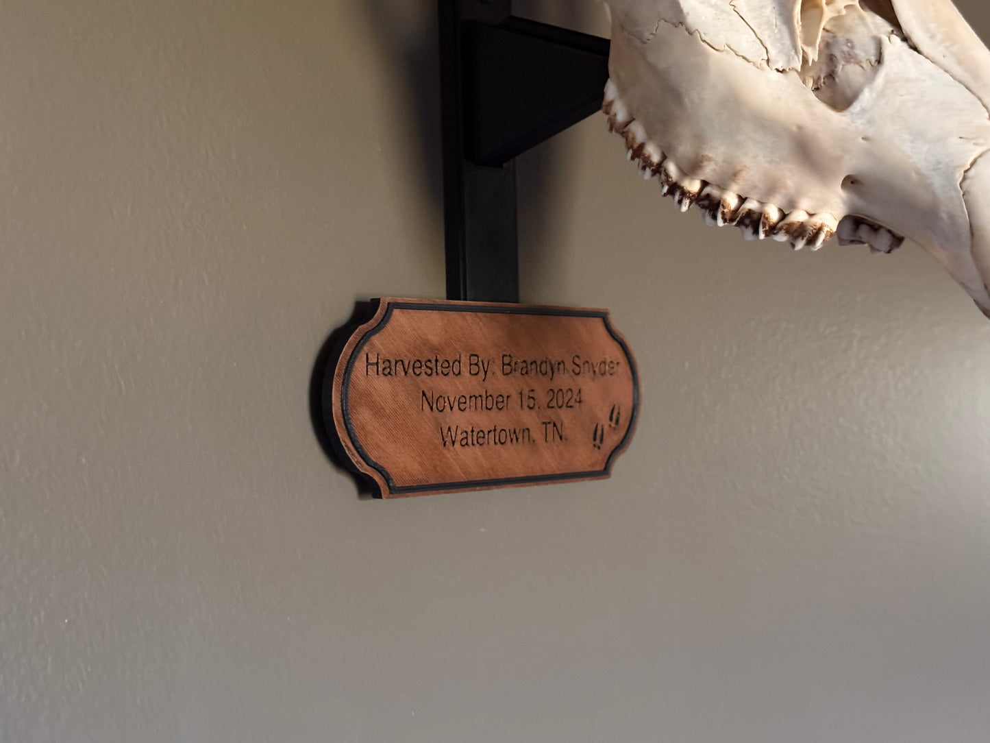The Timber Tag