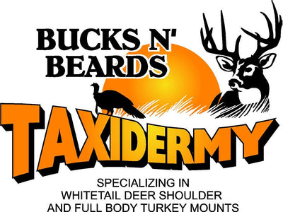logo 13