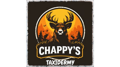 logo 4