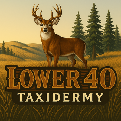logo 11
