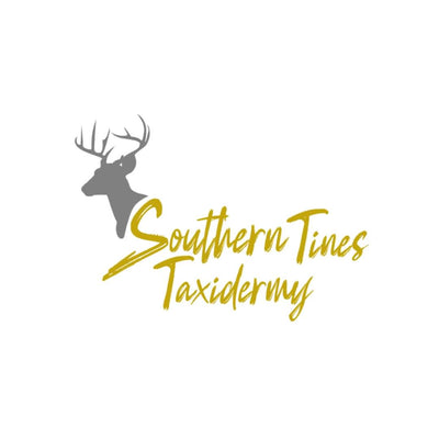 logo 15
