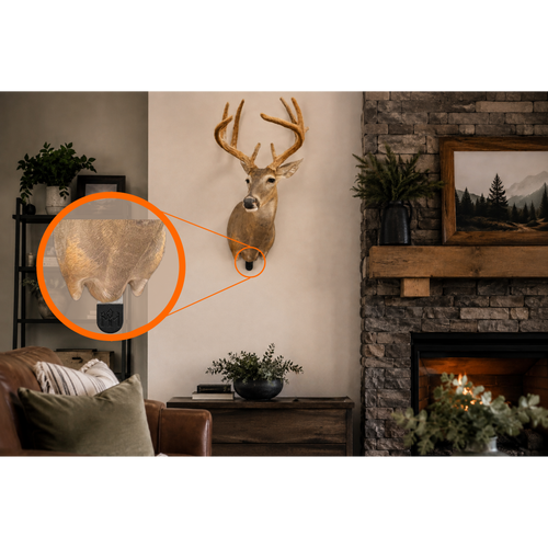 Mounted under taxidermy deer