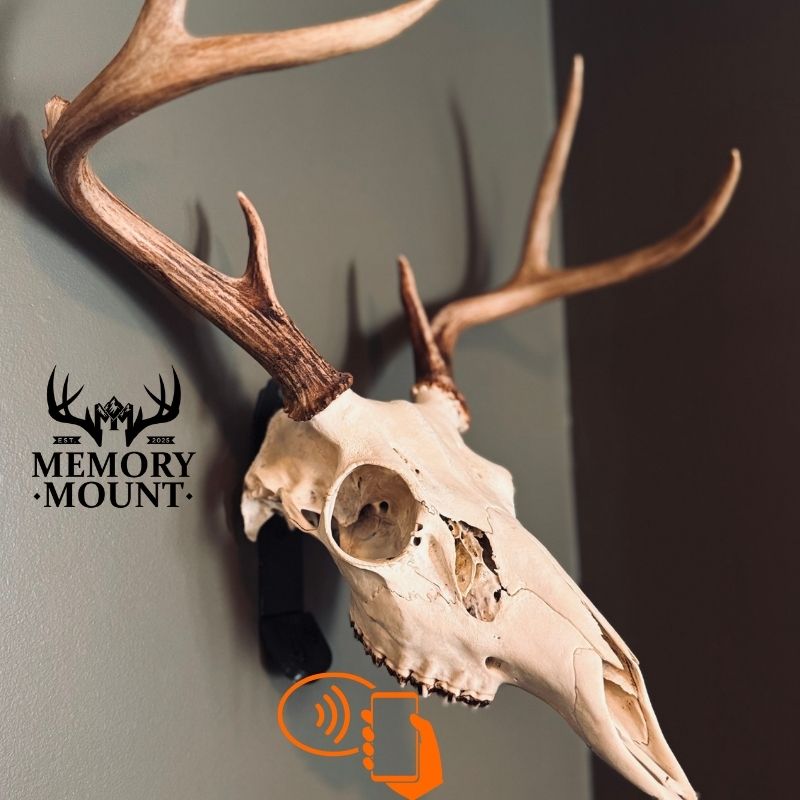 The Bone Legacy Euro Mount