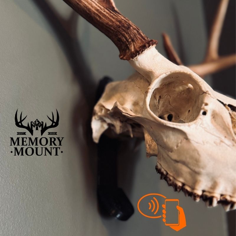 The Bone Legacy Euro Mount