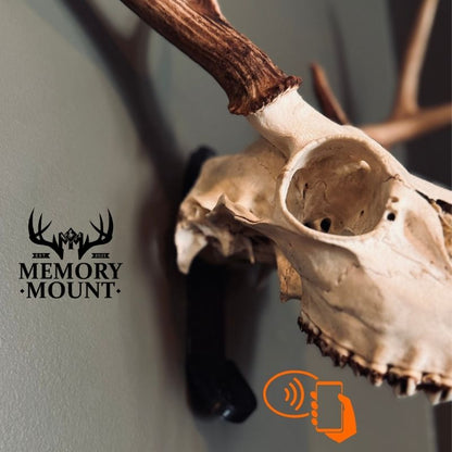 The Bone Legacy Euro Mount